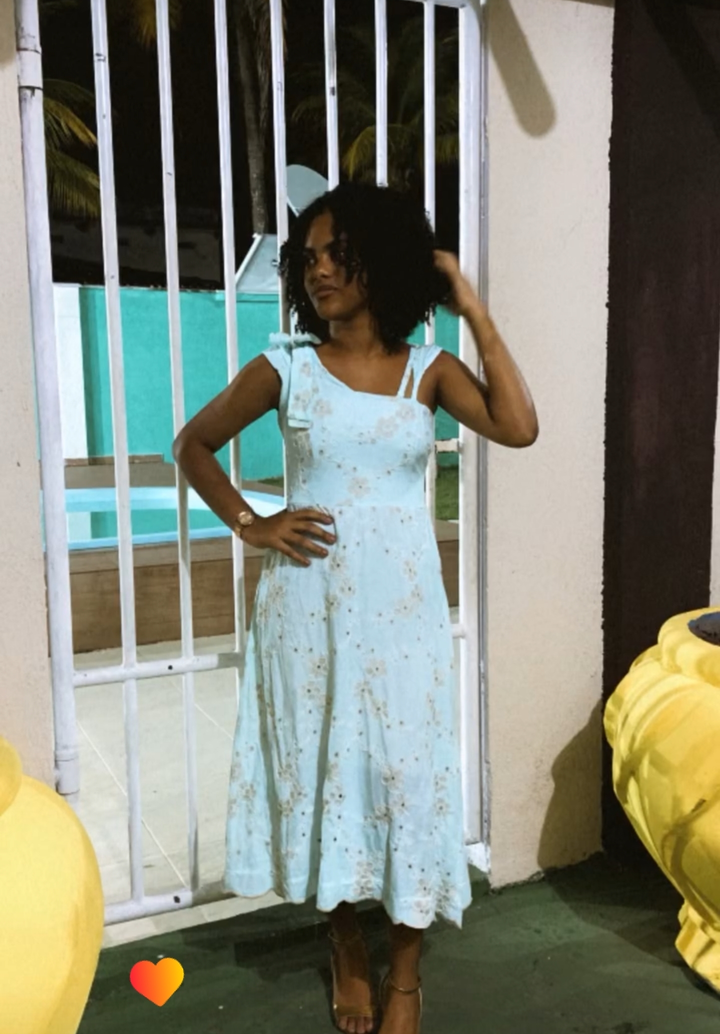 Alanys Wilka de Souza França