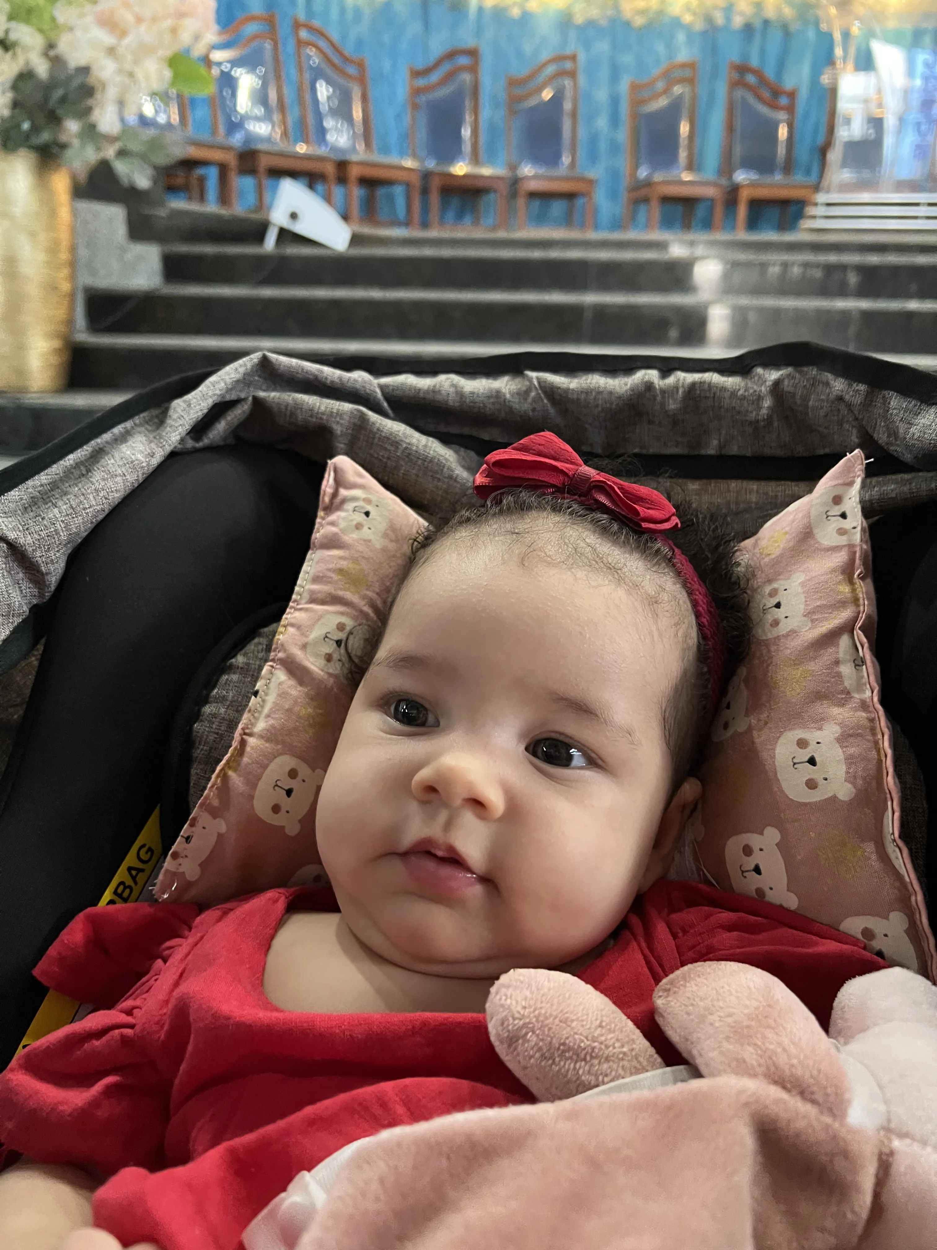 Júlia Luz Argolo Pinto